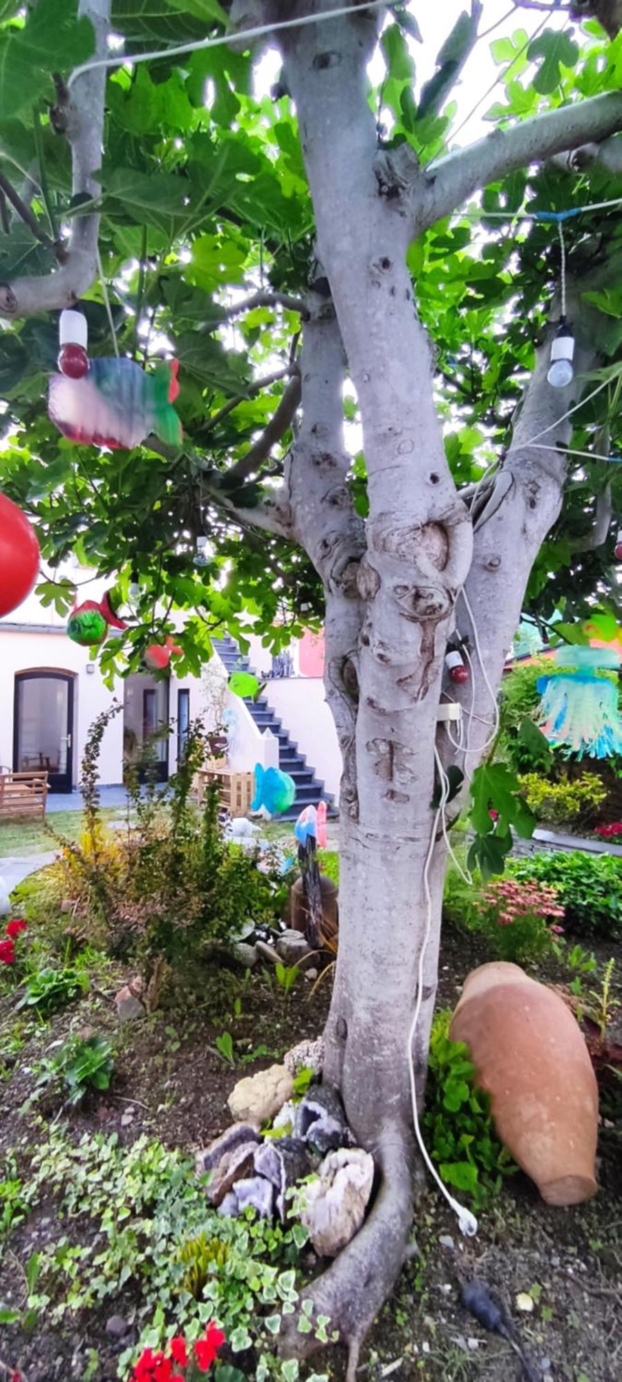 ריבאדאו Hostel Namor מראה חיצוני תמונה